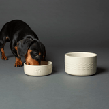 Dog eating from a white ceramic bowl on a gray background, beside it is the Scruffs Icon Cream Water Bowl 15cm