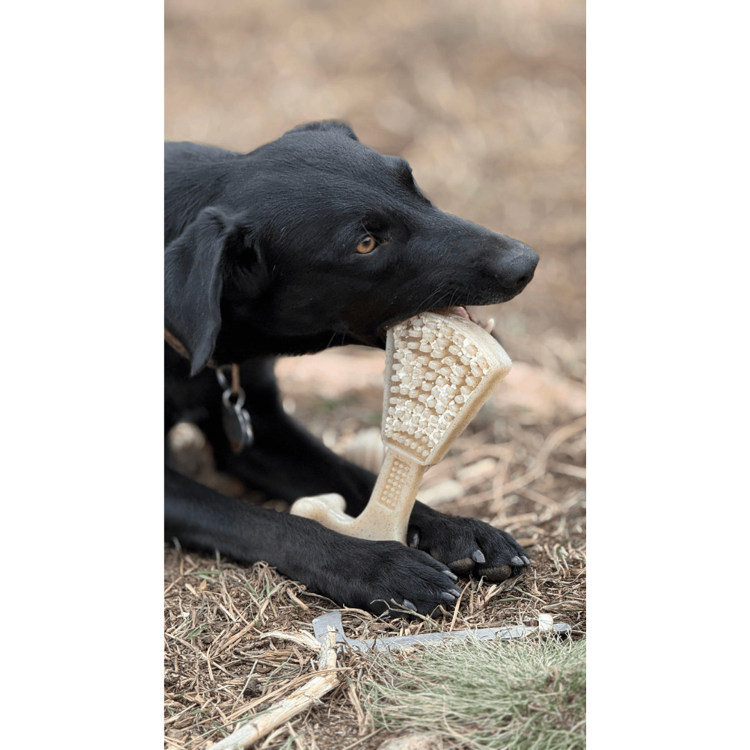 SodaPup Waffle Tower Nylon Chew