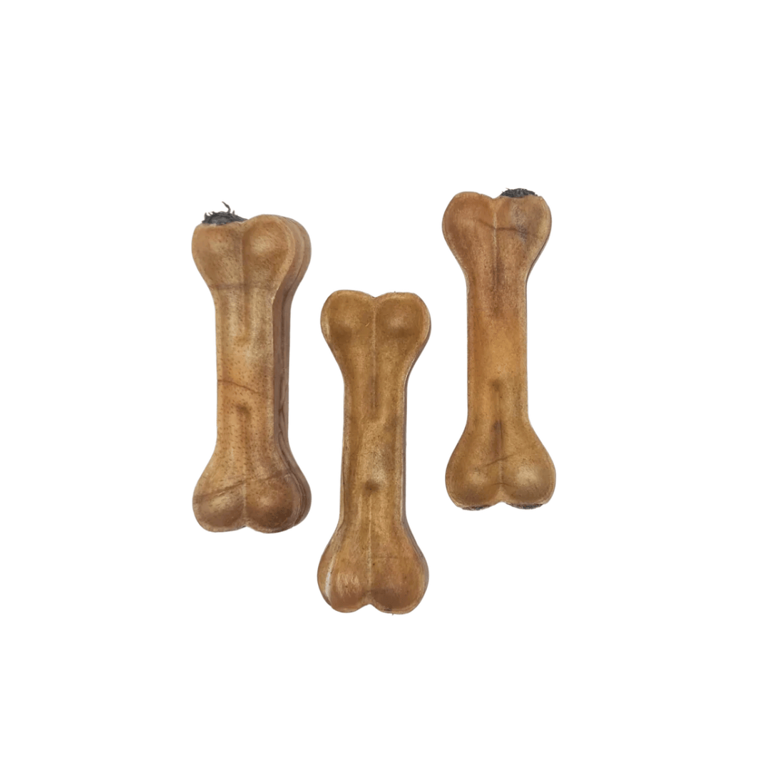 Atlas and Tail Trip Filled Bones Displayed on a White Background 
