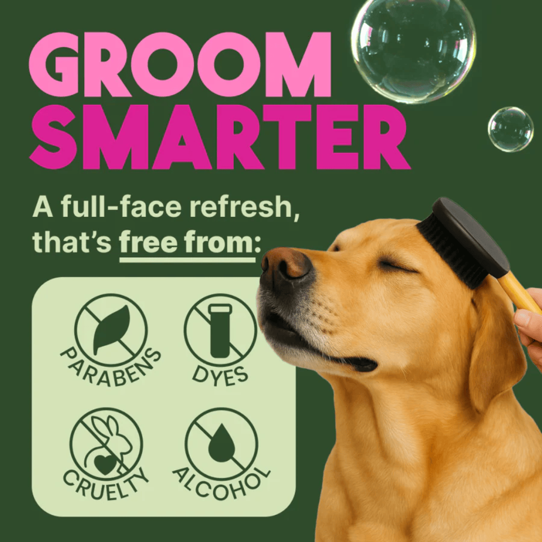 Tropiclean Waterless Deep Cleaning Shampoo for Pets