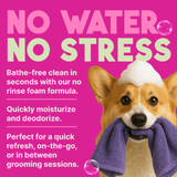 Tropiclean Waterless Deep Cleaning Shampoo for Pets