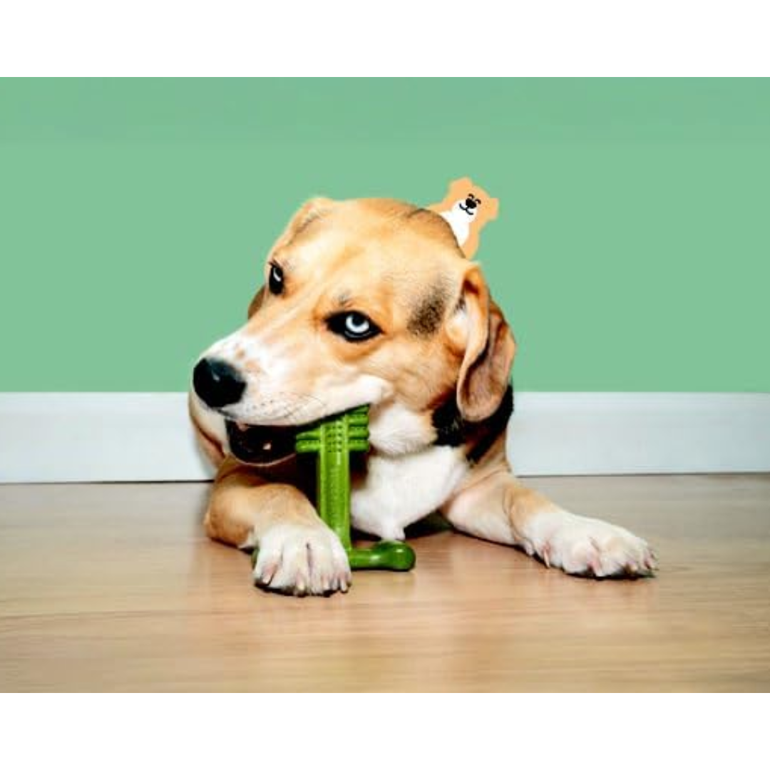 Bamboodles T-Bone Dog Chew - Mint