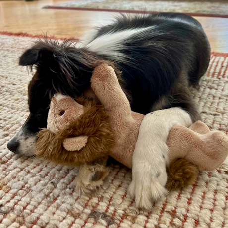 Fluff & Tuff Leo Lion Plush Dog Toy