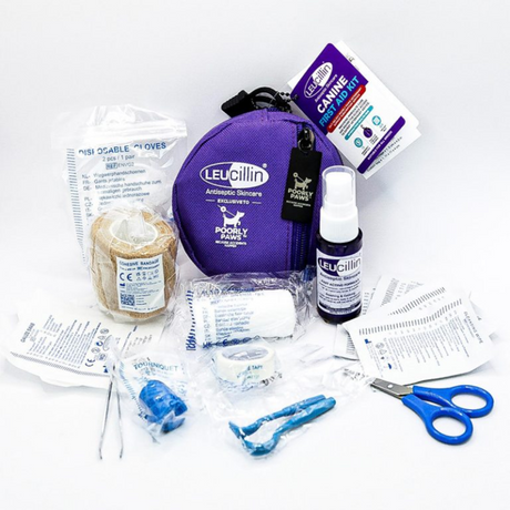 Leuicillin First Aid Kit
