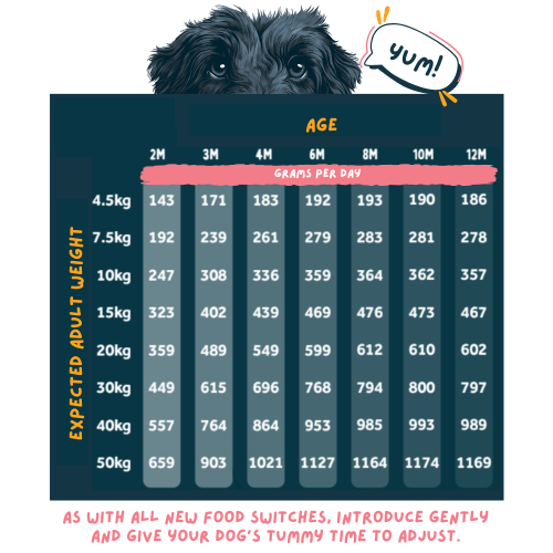 Wilsons Puppy Chicken & Fish Fresh Dog Food