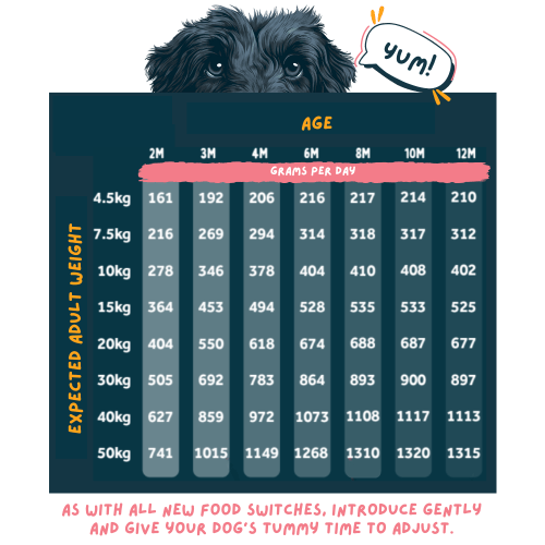 Wilsons Puppy Tasty Turkey Fresh Dog Food