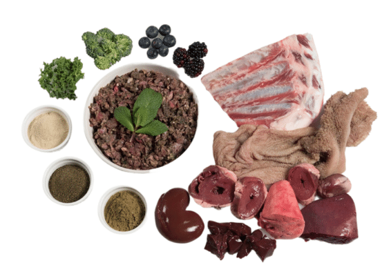 Raw ingredients of Paleo Ridge Plus Lamb and Mint