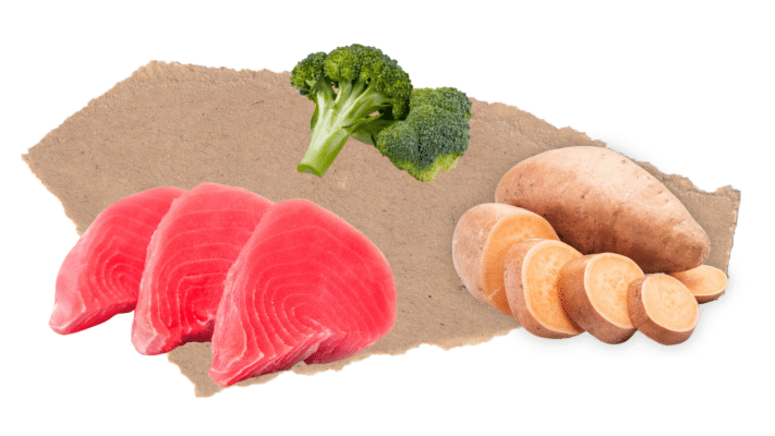 Nourish Rite Grain Free Adult Dog Food - Tuna