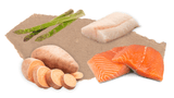 Nourish Rite Grain Free Puppy Food - Salmon