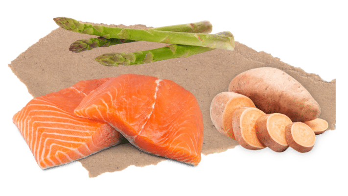 Nourish Rite Grain Free Adult Dog Food - Salmon