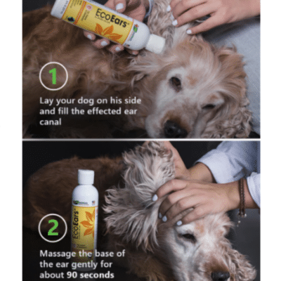 EcoEars Dog Ear Cleaner