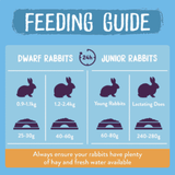 Excel Junior & Dwarf Rabbit Nuggets with Mint 1.5kg