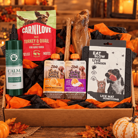The Halloween Bundle