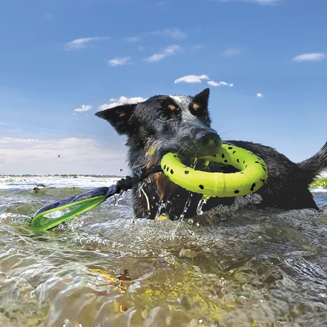 Kong Reflex Dog Toy