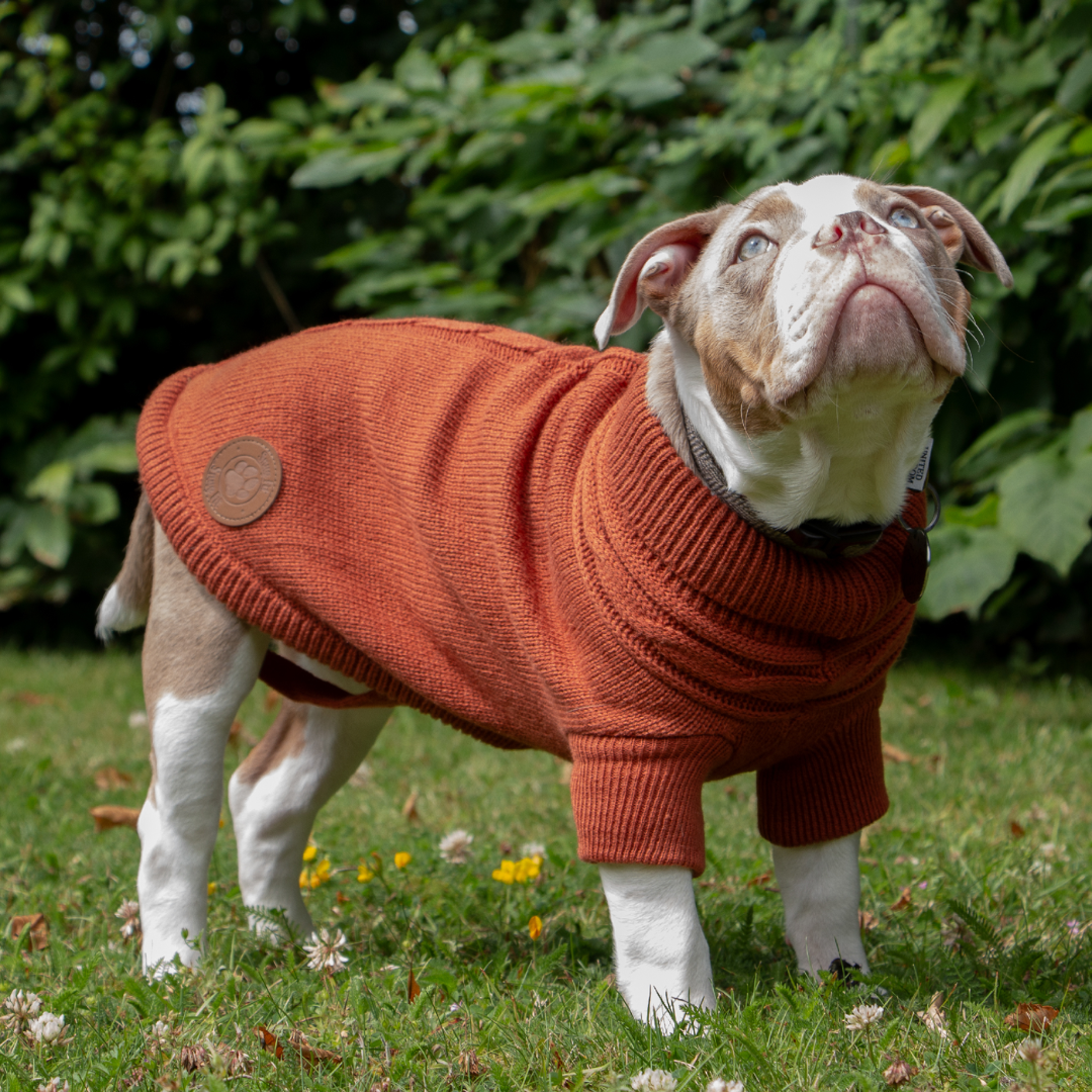 Ancol Cable Knit Jumper