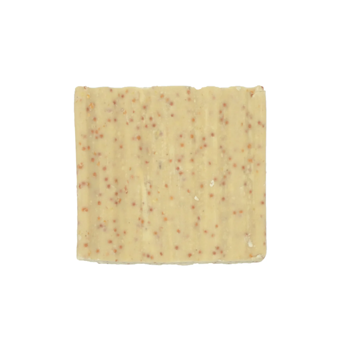 Suet To Go Suet Block With Mealworms 280g