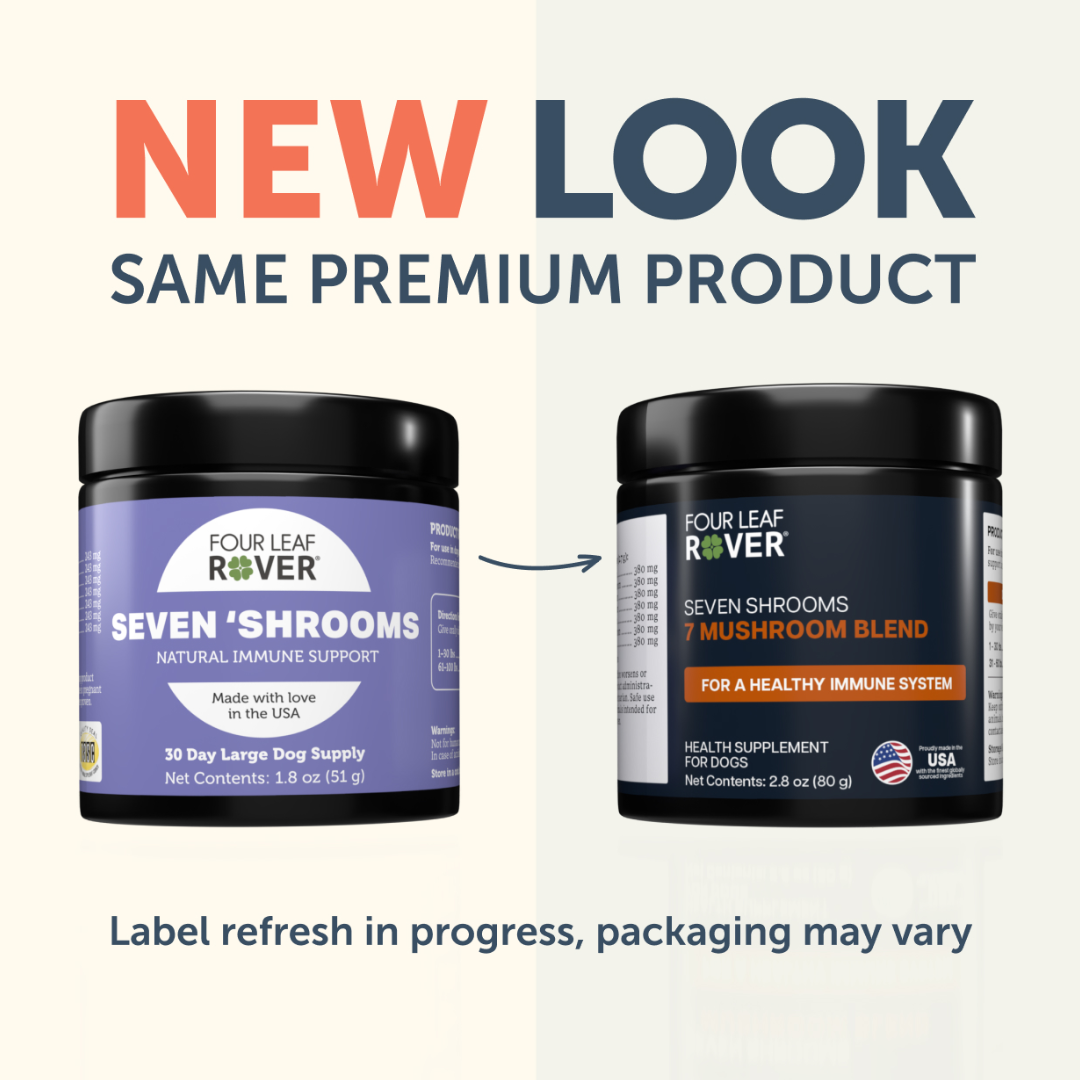 Four Leaf Rover - Immunity Seven Shrooms