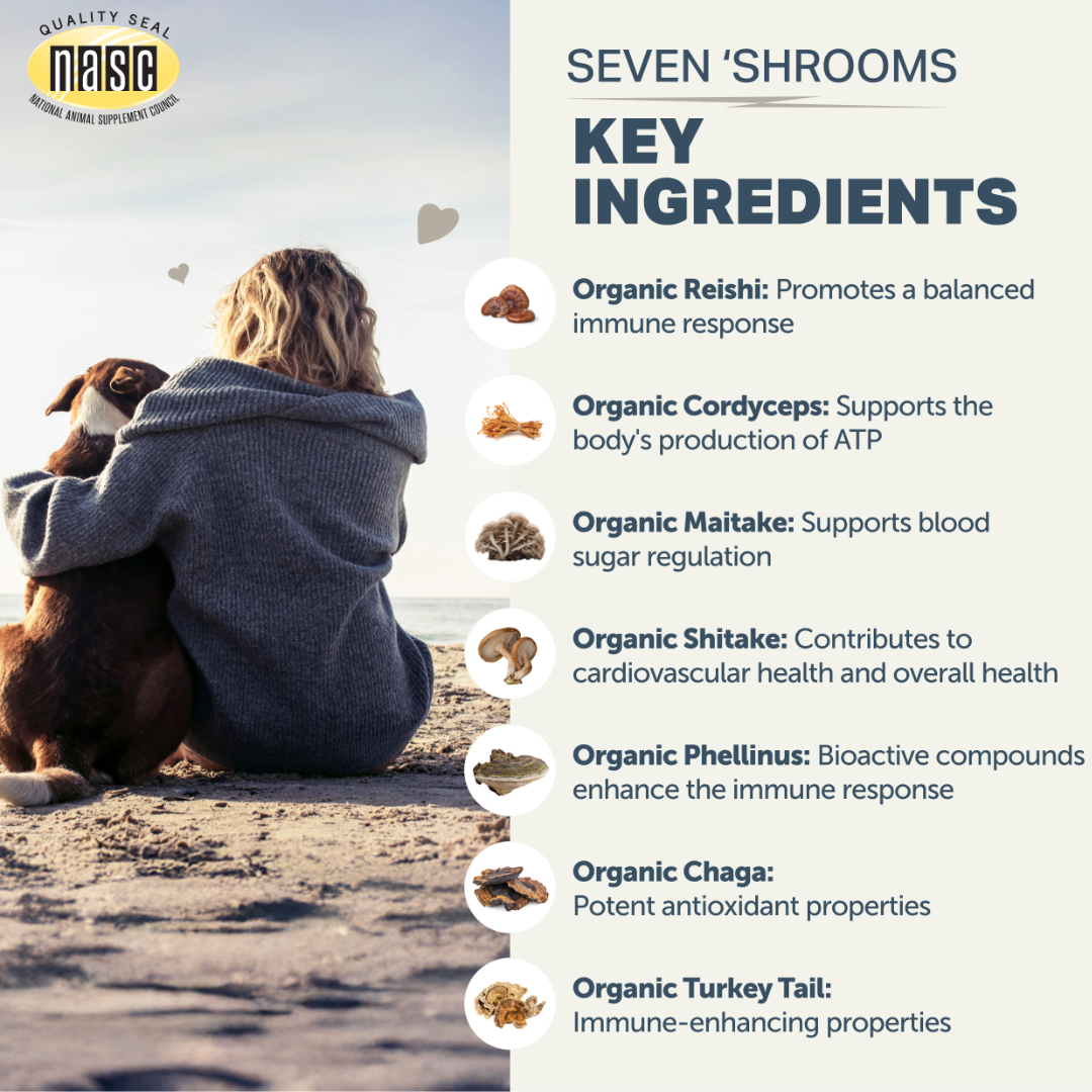 Four Leaf Rover - Immunity Seven Shrooms