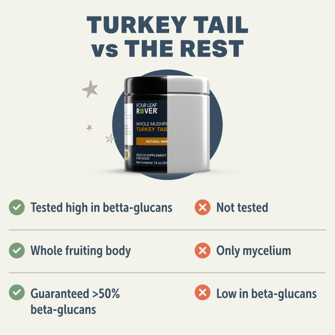 Four Leaf Rover - Turkey Tail Mushroom for Dogs