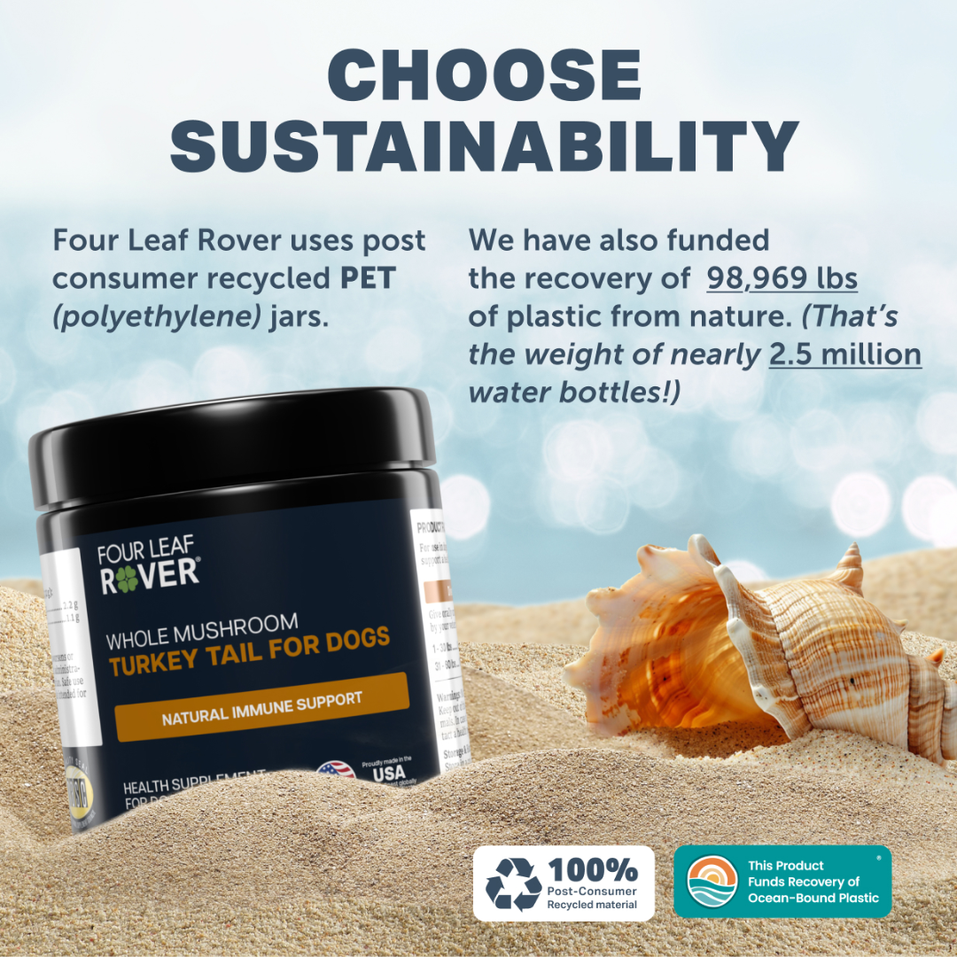 Four Leaf Rover - Turkey Tail Mushroom for Dogs