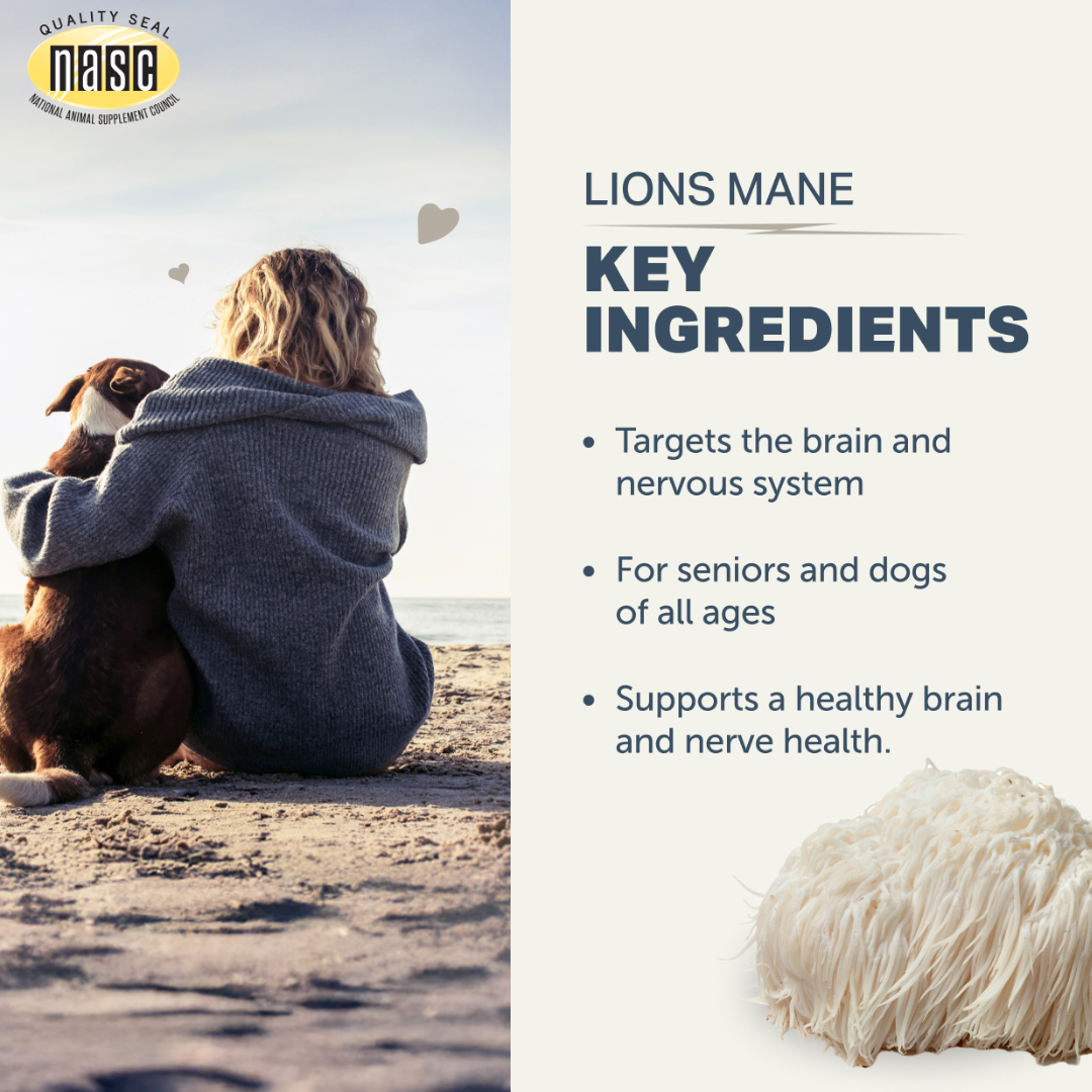 Four Leaf Rover - Lion's Mane Mushroom for Dogs