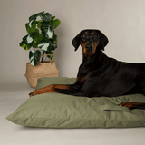 Black dog lying on a green Scruffs Expedition Orthopaedic Pillow for Dogs against a plain background
