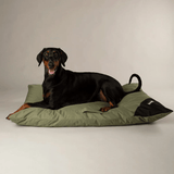 Black dog lying on a green Scruffs Expedition Orthopaedic Pillow for Dogs  against a plain background