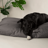 Black dog lying on a grey Scruffs Expedition Orthopaedic Pillow for Dogs  against a plain background