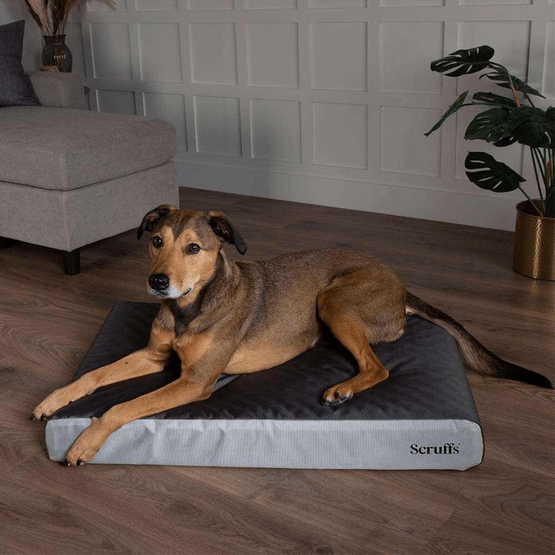 Scruffs ArmourDillo Orthopedic Dog Bed