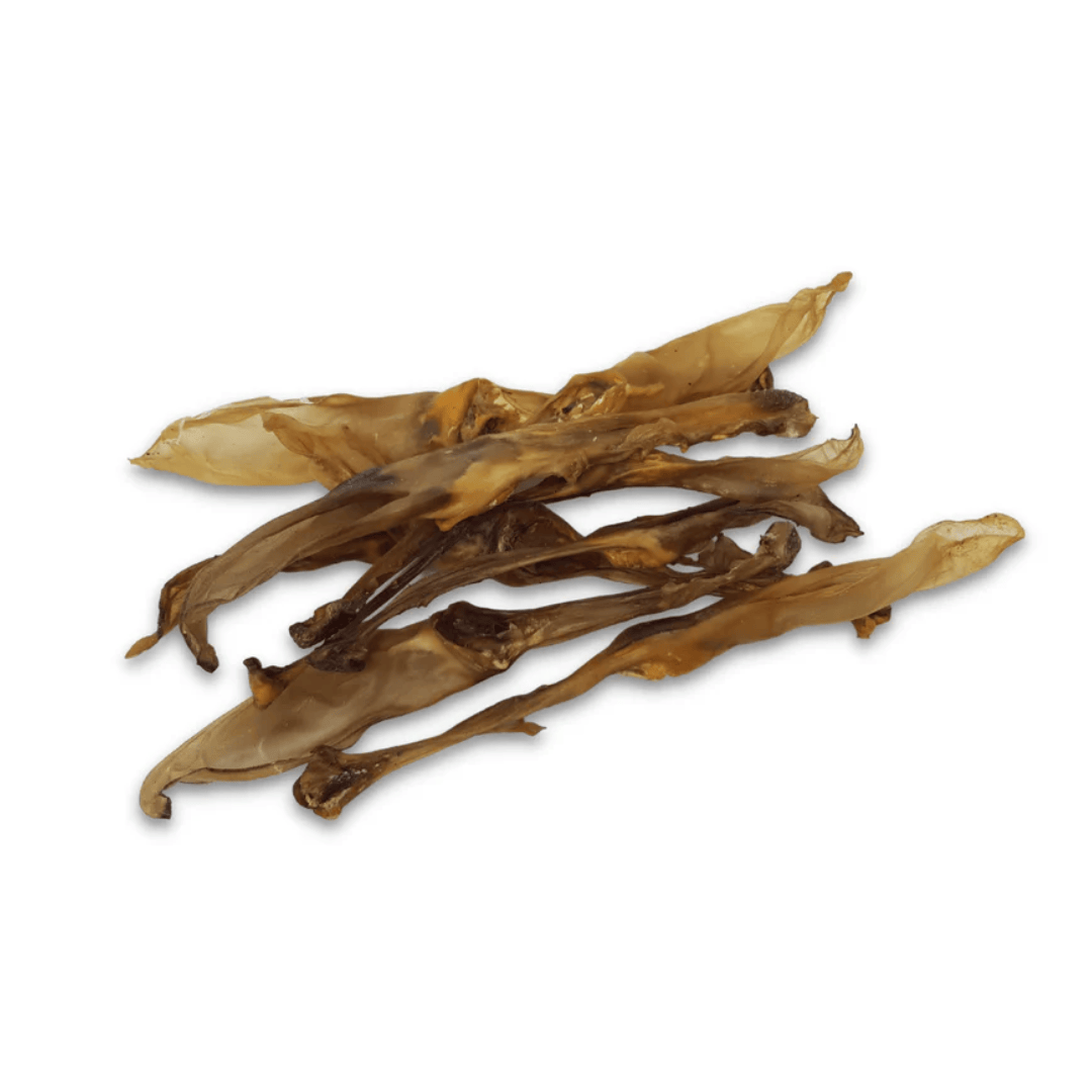 Dried rabbit ears on a white background
