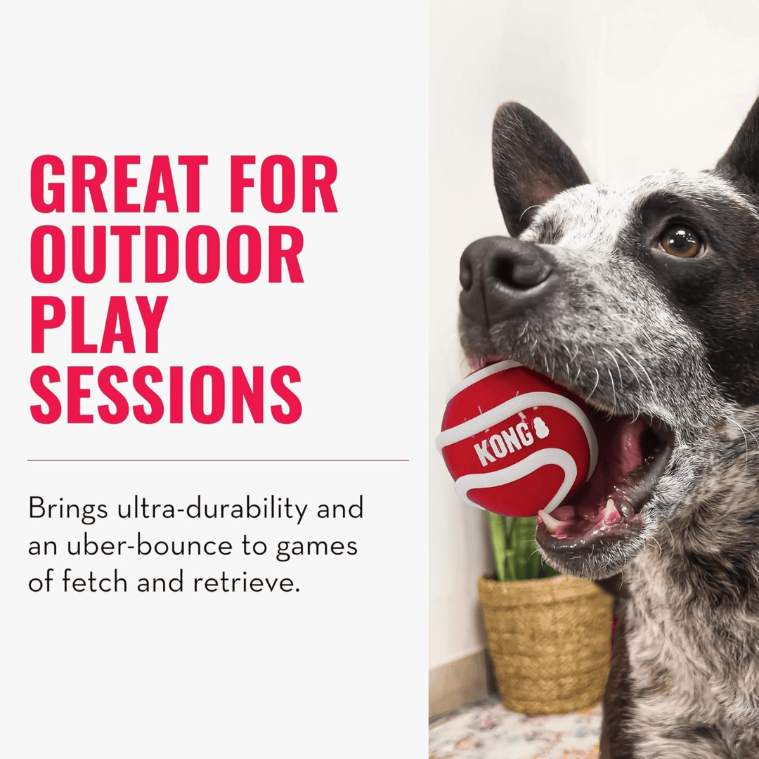 Kong Signature Balls 4-pk