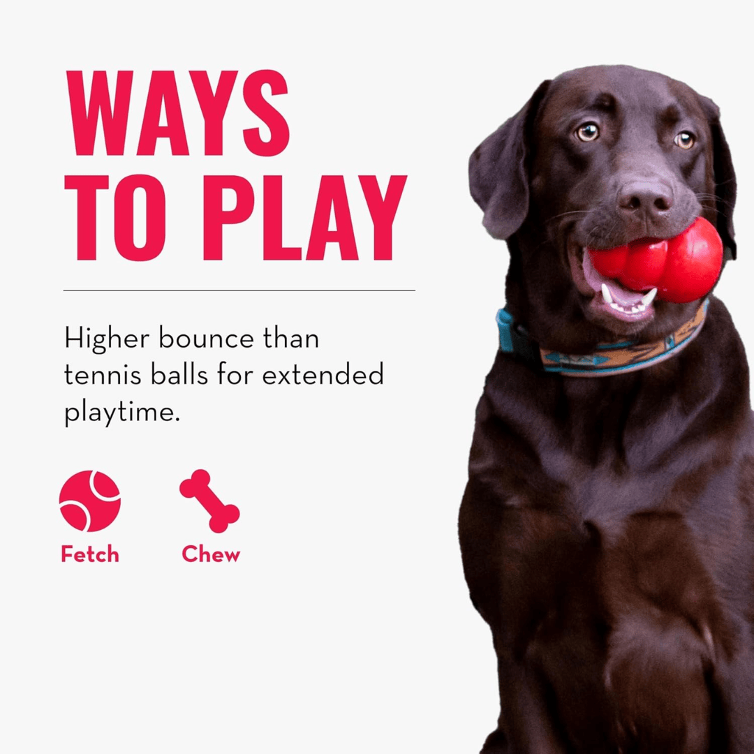 Kong Signature Balls 4-pk