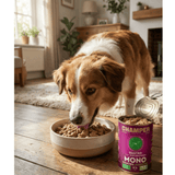 Champer Skin & Coat Wet Dog Food