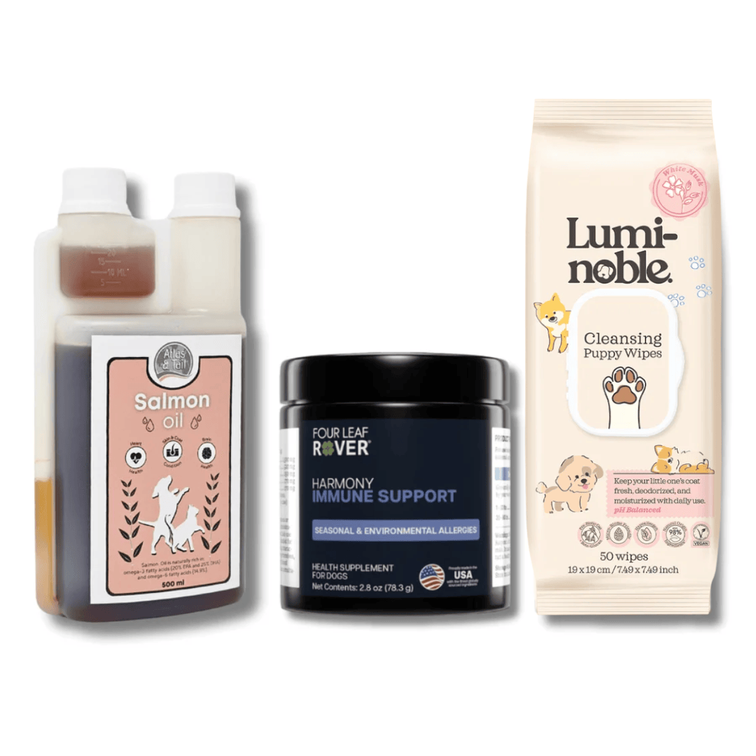 Summer Skin Care Bundle