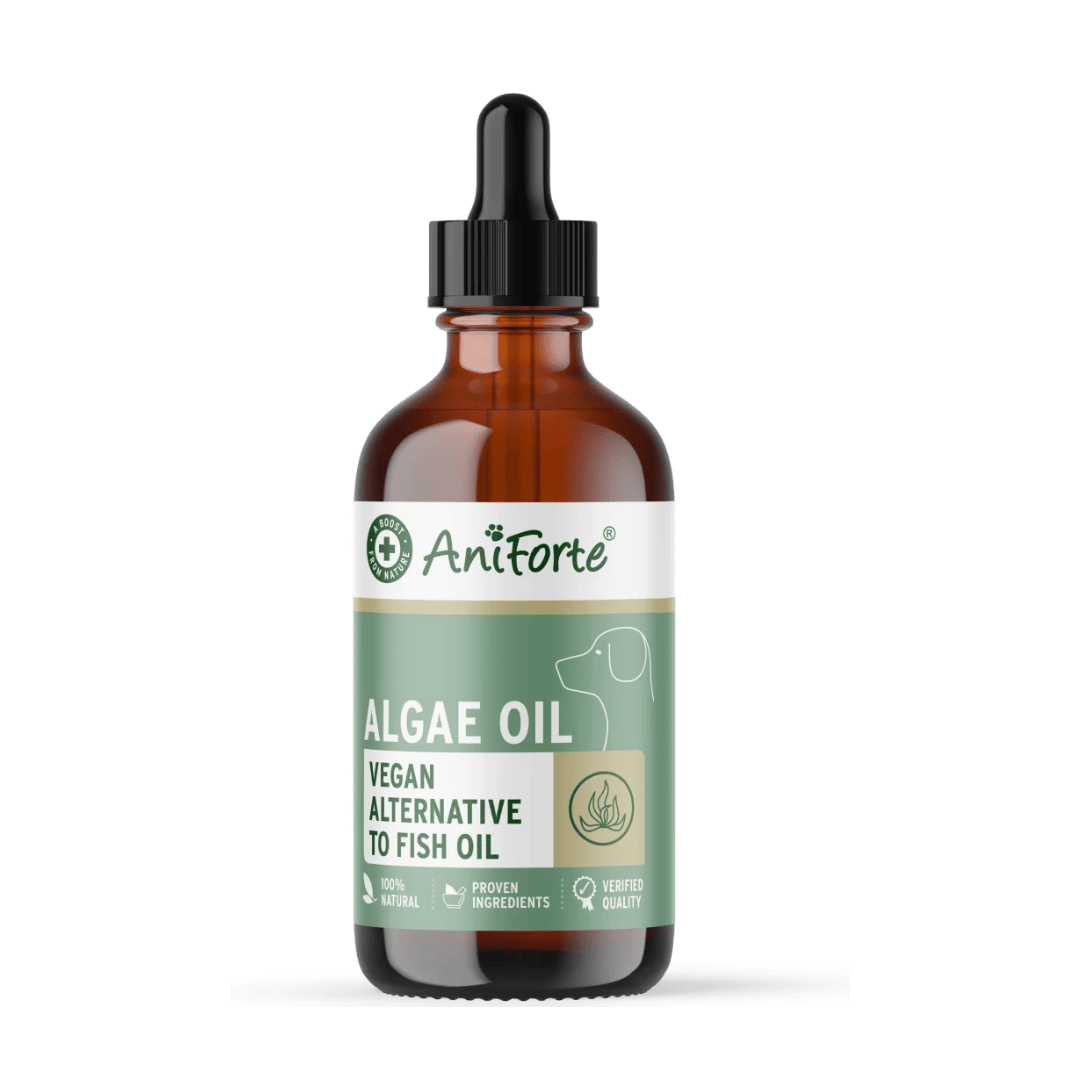AniForte Algae Oil vegan alternative to fish oil in an amber glass dropper bottle with a black cap and a green and white label.