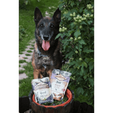 Dog sitting outdoors with two packages of Quail dog food in front