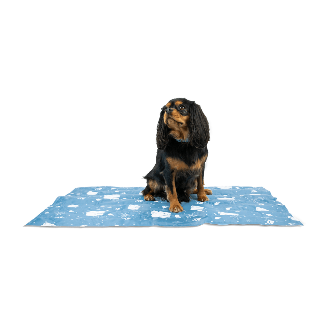 Dog Cooling Mat