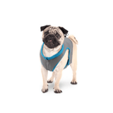 Chill Out 3 Layer Cooling Vest