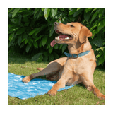 Dog Cooling Mat