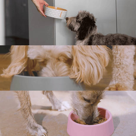 Innocent Hound Air Dried Beef Stew