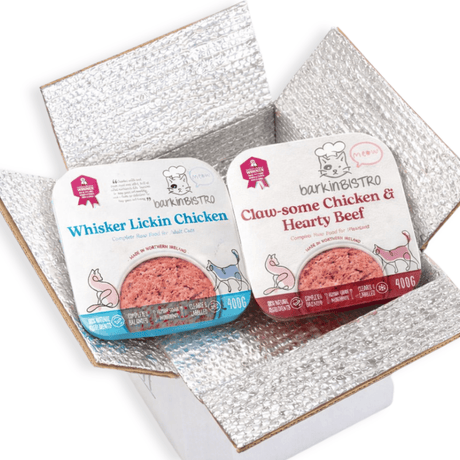 Barkin Bistro Raw Mixed box for cats