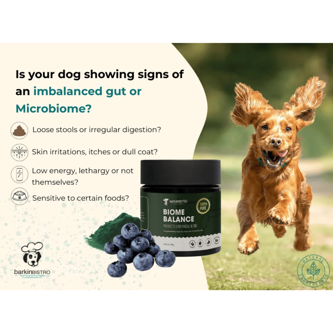 Barkin Bistro Supplements - Biome Balance 45g