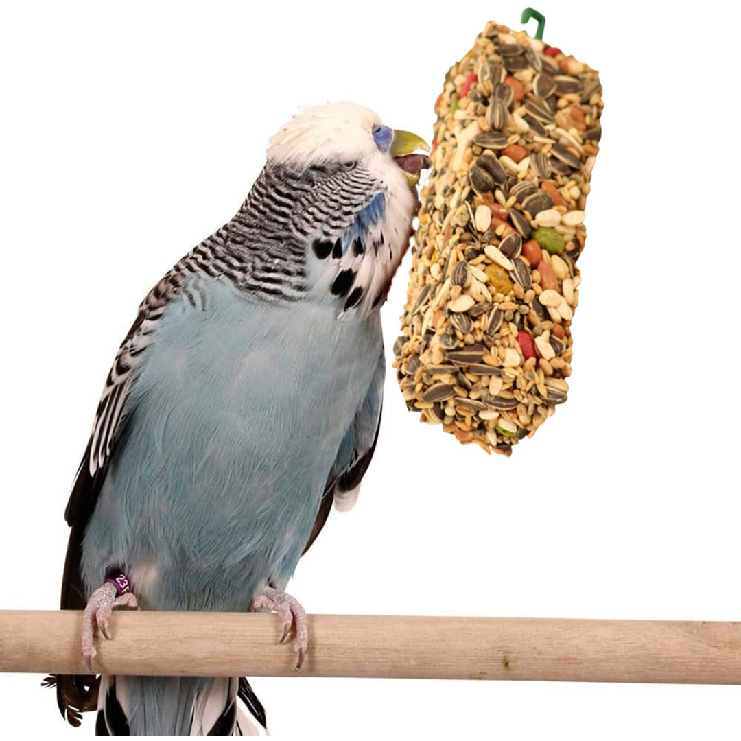 Parrot Bumper Bar