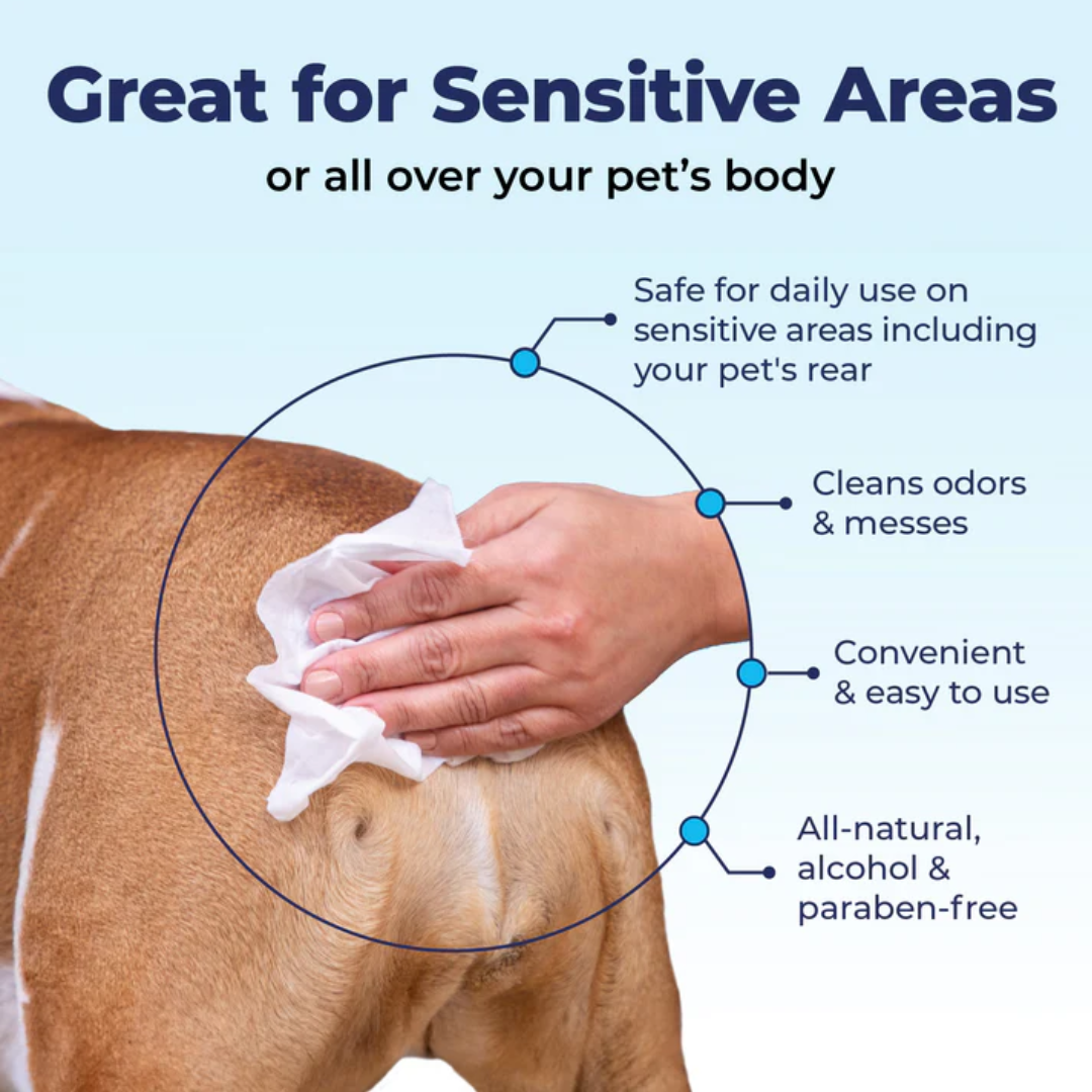 Glandex Anal Gland Hygienic Pet Wipes
