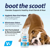 Glandex Anal Gland Hygienic Pet Wipes