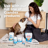 Glandex Anal Gland Hygienic Pet Wipes