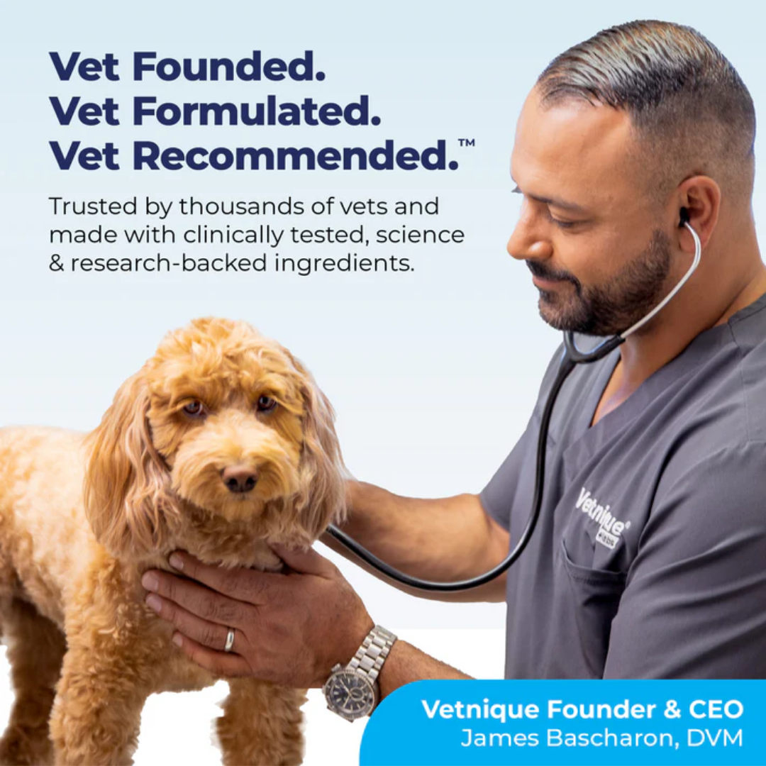 Glandex Anal Gland Hygienic Pet Wipes