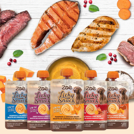 Zoe Licky Snack - Pumpkin & Turkey