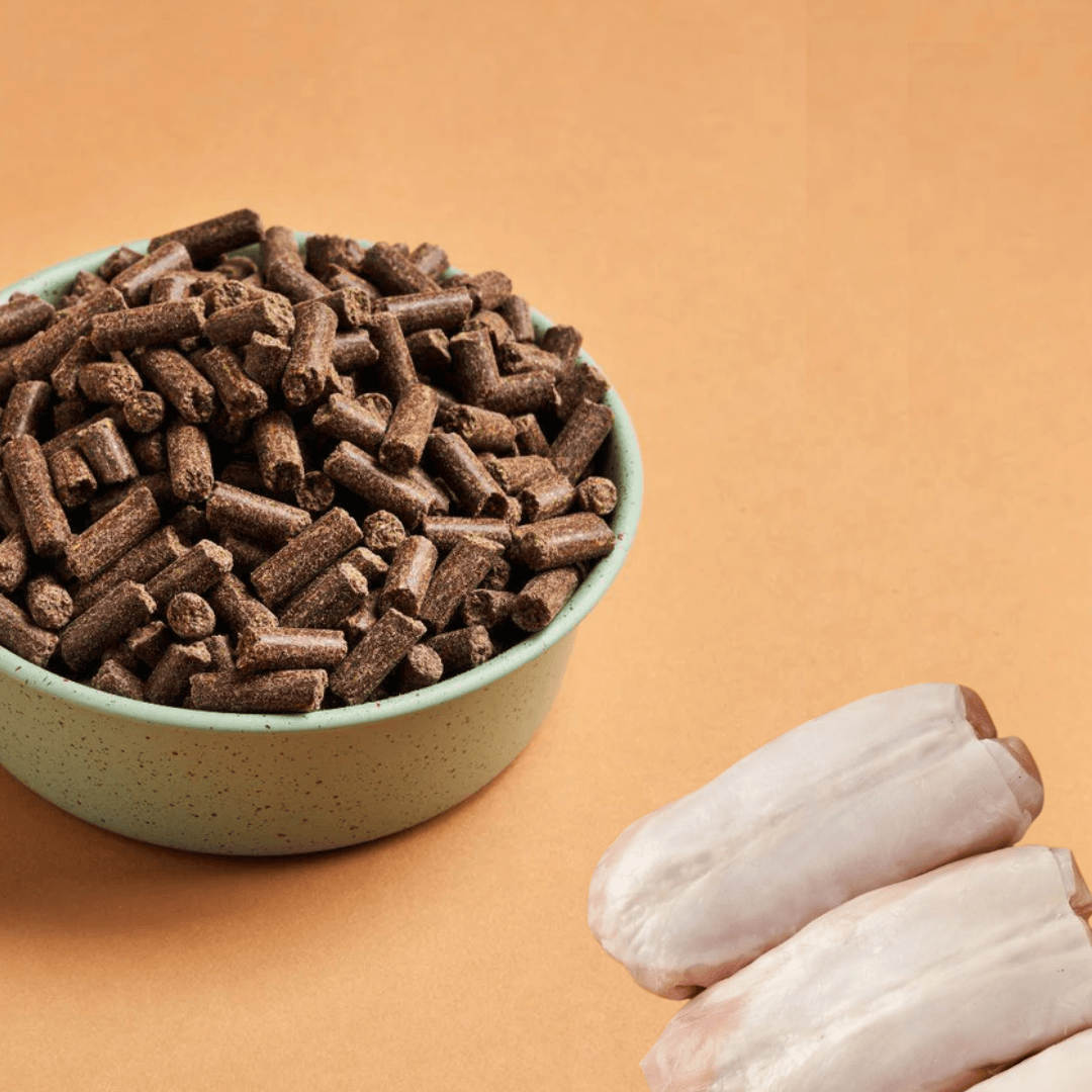 Bowl of DARF Rabbit cold pressed dog food and some raw rabbit breast on an orange background