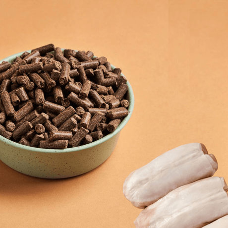 Bowl of DARF Rabbit cold pressed dog food and some raw rabbit breast on an orange background